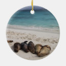 Suche nach seelöwen ornamente Tierschmuck