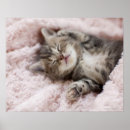 Suche nach towel poster Natur