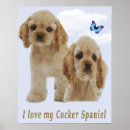 Suche nach cocker spaniel welpe Lustig