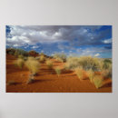 Suche nach der kalahari poster Afrika