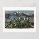 Recherche de yucca cartes postales Vue