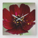 Recherche de cosmo horloges Floral