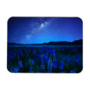 Suche nach lupine magnete Neuseeland