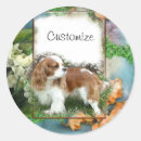 Suche nach cavalier king charles aufkleber Spaniel