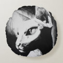 Suche nach sphynx kissen Haarlos