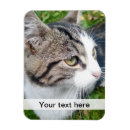Suche nach i nur magnete Foto