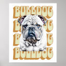 Suche nach english bulldog poster Englische bullhunde