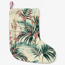 Recherche de plantes chaussette de noël Fleur