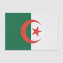 Recherche de alger Arabe