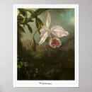 Recherche de heade martin johnson posters Fleurs