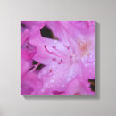 Recherche de enveloppe rose art Pour elle