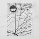 Recherche de lierre cartes postales Noir