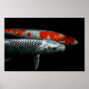 Suche nach rote fische poster Orange