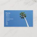 Suche nach palm beach visitenkarten Palme