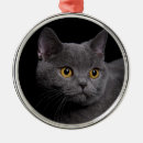 Recherche de animaux premium ornements Animal