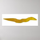 Recherche de anguilles posters Lundi