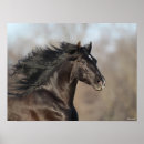 Recherche de mane posters Noir