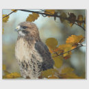Suche nach falken geschenkpapier Raptor