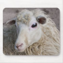 Suche nach lustiges schaf mousepads Tier