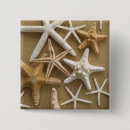 Recherche de étoiles de mer badges Coquillage