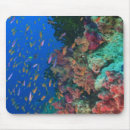 Suche nach schwarm mousepads Fisch