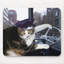 Recherche de chat humoristique tapis souris Animal