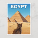 Recherche de cat cartes postales Égypte