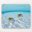 Suche nach seitenansicht mousepads Natur