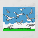 Suche nach vogel im flug postkarten Möwen