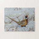 Recherche de faisans puzzles Pour tous