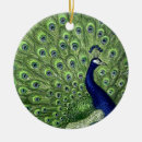 Suche nach vintager pfau ornamente Vögel