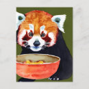Recherche de red panda cartes postales Faune