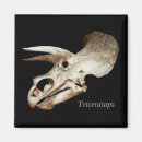 Suche nach triceratops magnete Schädel