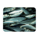 Suche nach fischer magnete Meeresfrüchte