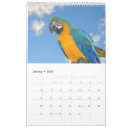 Recherche de perroquets calendriers Faune