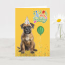 Suche nach border terrier karten Hunde