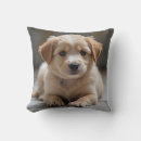 Suche nach kuscheln kissen Schön