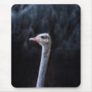 Recherche de autruche tapis souris Animal