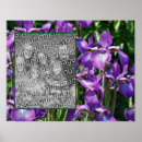 Suche nach lila iris poster Blume