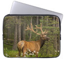 Suche nach hirsch laptop schutzhüllen Geweih