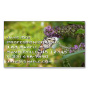 Recherche de papillon monarque cartes visite Nature