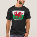 Recherche de drapeau pays galles tshirts Draig