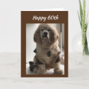 Suche nach cocker spaniel geburtstag karten Fotografie