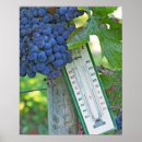 Suche nach merlot poster Landwirtschaft