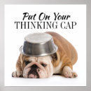Recherche de taureau taureau posters Dog