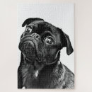 Recherche de pug puzzles Dog