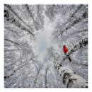Recherche de forêt posters Hiver