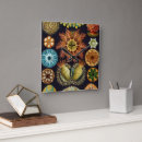 Recherche de vie aquatique horloges Mer