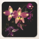 Suche nach gartenbau untersetzer Rosa