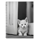 Suche nach schwarzes kätzchen kleine notizbücher Haustier